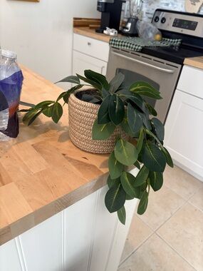 Marshalls Green Faux Trailing Plant in Woven Planter